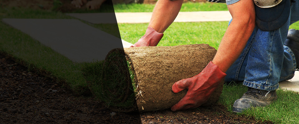 Yorktown Landscapers